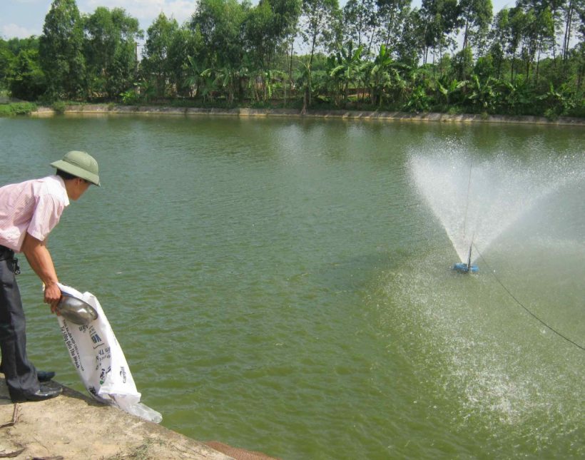 Phân vùng sinh thái các vùng nuôi trồng thủy sản Tỉnh Đồng Tháp